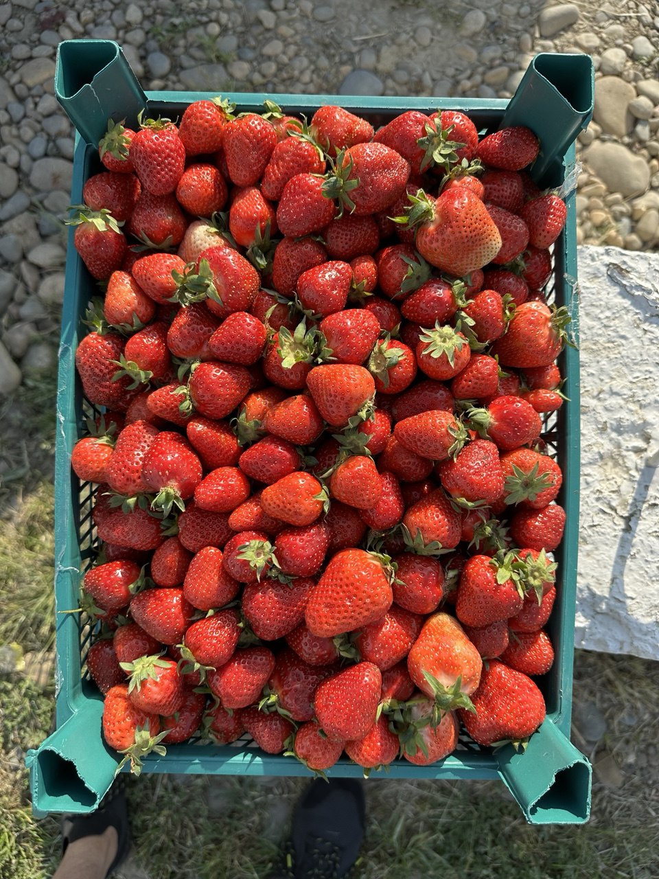 Бонусная часть